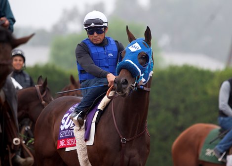 Dr. Schivel headed out to work at Santa Anita Park on October 30, 2021