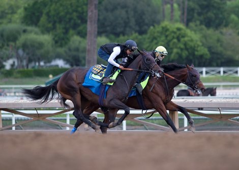 Pinehurst (inside) and As Time Goes By work at Santa Anita Park for Hall of Fame trainer Bob Baffert on October 24, 2021.