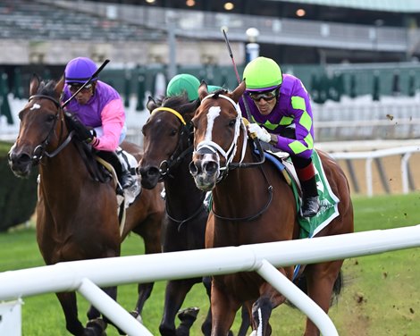 Shifty She wins the 2021 Noble Damsel Stakes at Belmont Park
