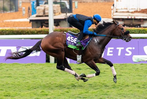 Mo Forza works out at Del Mar on October 31, 2021.