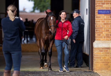 Lot 49 sells for 725,000 Guineas<br><br />
Tattersalls, Newmarket 5.10.21 Pic: Edward Whitaker