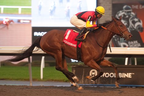 Aubrieta wins the 2021 Glorious Song Stakes at Woodbine