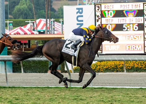 LNJ Foxwoods&#39; Subconscious and jockey Juan Hernandez win the Grade II, $200,000 Twilight Derby, Sunday, October 31, 2021 at Santa Anita Park, Arcadia CA.<br><br />
&#169; BENOIT PHOTO