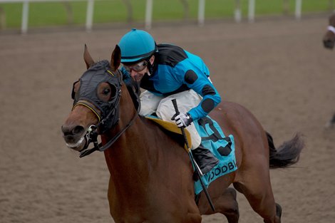 The Minkster wins the 2021 Coronation Futurity at Woodbine