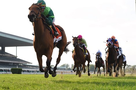 My Sister Nat wins the Fasig-Tipton Waya Stakes Sunday, October 3, 2021 at Belmont Park