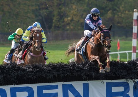 The Mean Queen ridden by Richard Condon moves over the final fence of the race to win the Grand National (GI) at the Far Hills Race Course during the 100th running of The Far Hills Race Meeting  Saturday Oct. 16, 2021 in Far Hills, NJ