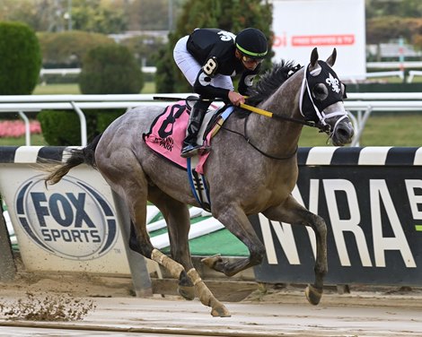 Ny Traffic wins the 2021 Hudson Handicap at Belmont Park