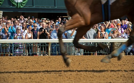 Crowd of fans<br>
 at Keeneland on Oct. 8, 2021.