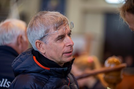 Montgomery Brinsley Motto<br><br />
Tattersalls October Yearling Sale Book 3<br><br />
15/10/21