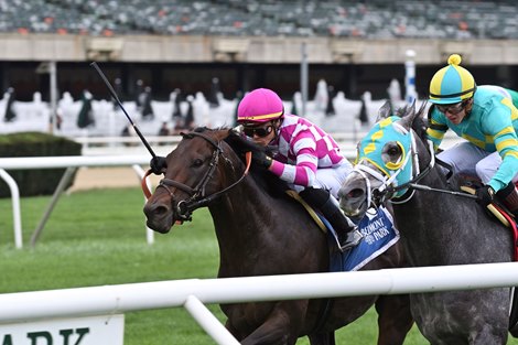 Sacred Life wins the Knickerbocker Stakes Sunday, October 10, 2021 at Belmont Park