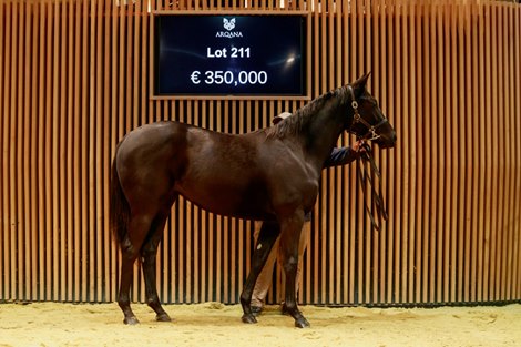 Lot 211 - f. WOOTTON BASSETT x BROKEN APPLAUSE