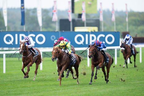 Sealiway (Michel Barzalona) wins the Champion Stakes<br><br />
Ascot 16.10.21