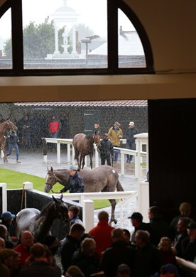Tattersalls October Yearling Sale Book 1<br>
05/10/21