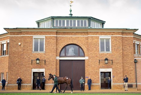 Lot 110 , a bay filly by No Nay Never x Lady Ederle sells for 825,000 Guineas to Cheveley Park<br><br />
Tattersalls, Newmarket 5.10.21 Pic: Edward Whitaker