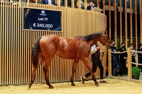 Lot 77 - f. DUBAWI x NUIT POLAIRE