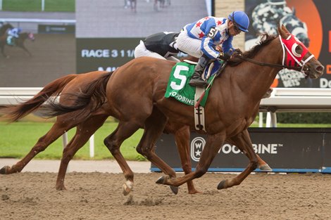 Special Forces wins the Durham Cup Stakes Sunday, October 10, 2021 at Woodbine