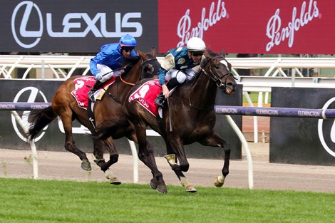 Hitotsu wins the 2021 Victoria Derby at Flemington<br>
ridden by John Allen and trained by Ciaron Maher and David Eustace