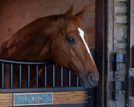 Curlin<br>
Christina Zurick with Curlin and Ghostzapper, at Hill ’n’ Dale Xalapa near Paris, Ky., on Oct. 18, 2021.