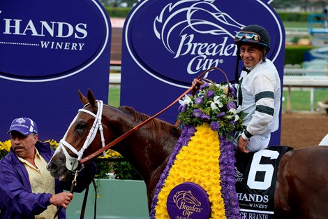 Take Charge Brandi wins the 2014 Breeders&#39; Cup Juvenile Fillies