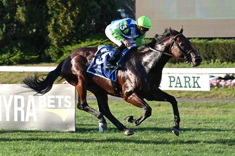 Arrest Me Red wins the 2021 Belmont Turf Sprint Invitational 