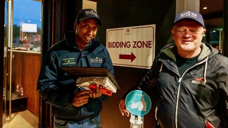 Anoj Don 2021 Arqana October Yearling Sale