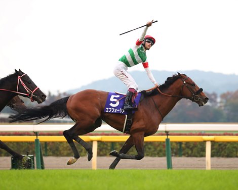 Efforia (JPN) wins the 2021 Tenno Sho (Autumn) 