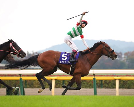 Efforia (JPN) wins Tenno Sho in 2021 (Fall) 