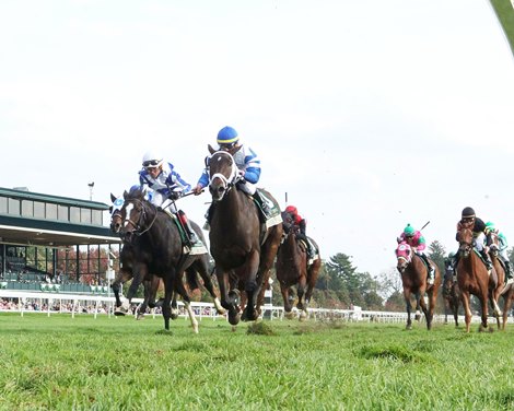 Summer in Saratoga wins 2021 Dowager Stakes at Keeneland