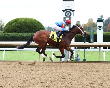 Marr Time - Maiden Win, Keeneland, October 28, 2021<br>
2019 f; Not This Time - Leslie&#39;s Lady