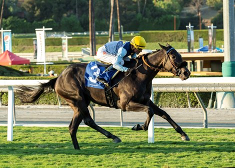 Cairo Memories and jockey Kent Desormeaux win the $200,000 Surfer Girl Stakes, Sunday, October 3, 2021 at Santa Anita Park, Arcadia CA.<br><br />
&#169; BENOIT PHOTO