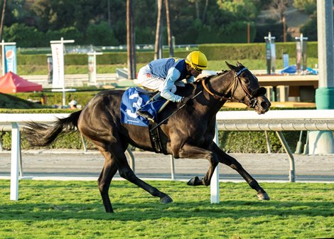 Cairo Memories and jockey Kent Desormeaux win the $200,000 Surfer Girl Stakes, Sunday, October 3, 2021 at Santa Anita Park, Arcadia CA.<br>
&#169; BENOIT PHOTO