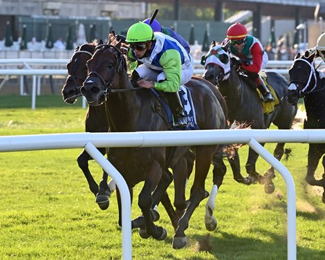 Arrest Me Red wins the 2021 Belmont Turf Sprint Invitational 
