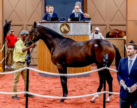 October 4, 2021: Hip #113, a Maryland-bred colt sired by Union Rags, out of Safe Journey (a Flatter mare), sells for $220,000 during the Fasig-Tipton Midlantic Fall Yearlings sale at the Fasig-Tipton Sales Pavilion in Timonium, Maryland. Jon Durr/Eclipse Sportswire/CSM