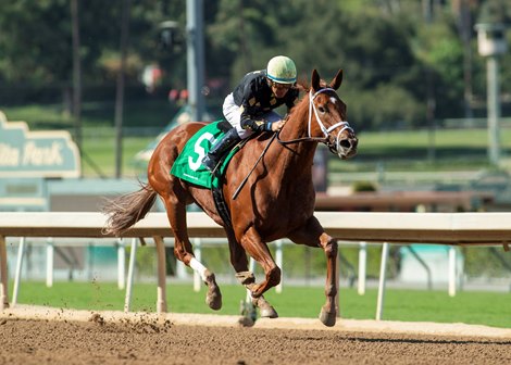 Ce Ce and jockey Victor Espinoza win the Grade III, $100,000 Chillingworth Stakes, Sunday, October 3, 2021 at Santa Anita Park, Arcadia CA.<br><br />
&#169; BENOIT PHOTO