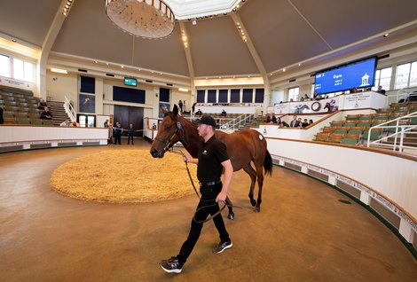 Lot 1 sells for 525,000 Guineas Tattersalls, Newmarket 5.10.21 Pic: Edward Whitaker