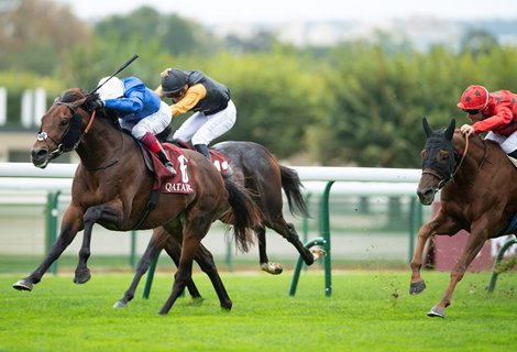 Real World (Frankie Dettori) beats The Revenant in the Prix Daniel Wildenstein<br><br />
Longchamp 2.10.21