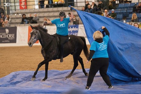 Thunderous Affair and Lindsey Partridge on their way to winning the Freestyle.