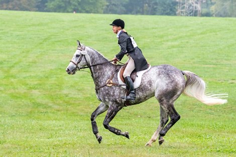 Forthegreatergood competing in the Field Hunter preliminary round at the 2021 Thoroughbred Makeover held at the Kentucky Horse Park in Lexington, KY