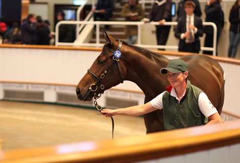 Lot 318 Sea The Stars (IRE) / Time Control (GB) B.F. (IRE)       The Castlebridge Consignment    One Agency    680,000   Tattersalls October Yearling Sale Book 1 06/10/21