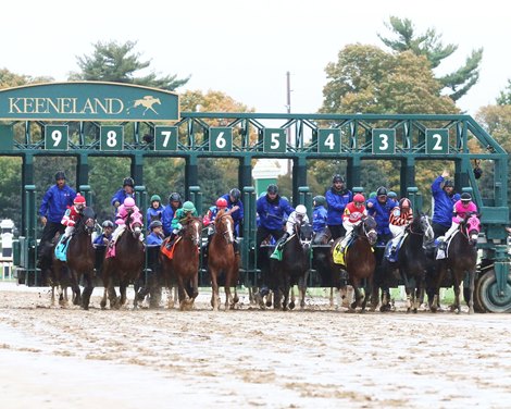 The start of the 2021 Fayette Stakes at Keeneland, won by #5 Independence Hall