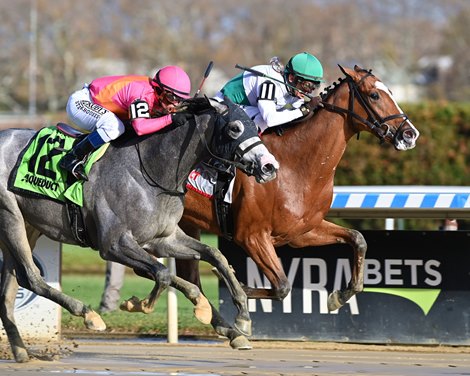 Kitten Mischief - Maiden Win, Aqueduct, November 12, 2021
