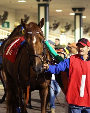 Necker Island wins the 2021 Bet on Sunshine Stakes at Churchill Downs