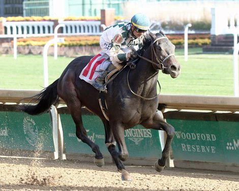 Cocktail Moments - Maiden Win, Churchill Downs, November 27, 2021