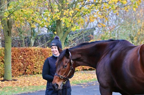 2021 Goffs November Breeding Stock Sale, Lot 1185<br><br />
Plying<br><br />
Purchaser: BBA Ireland/Yulong Investments.<br><br />
Price: €825,000