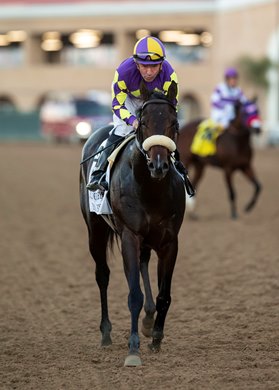 Jockey Kent Desormeaux guides Beyond Brilliant to the winner&#39;s circle after their victory in the Grade I, $400,000 Hollywood Derby, Saturday, November 27, 2021 at Del Mar Thoroughbred Club, Del Mar CA.<br> &#169; BENOIT PHOTO