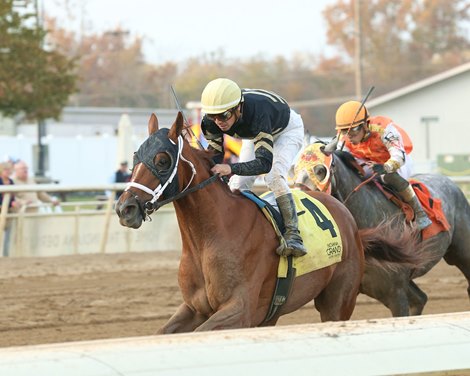 Bodock - MSW - IND - 111021