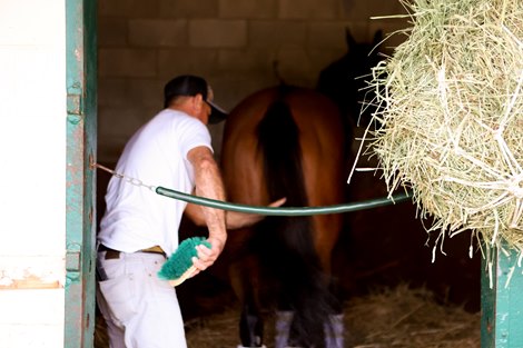 Breeders&#39; Cup 2021 Scene