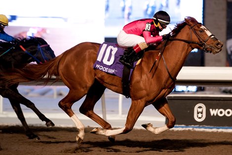 God of Love wins the Grade III $150,000 Grey Stakes for owner Gary Barber and Eclipse Thoroughbreds Partners with jockey Rafael Hernandez aboard