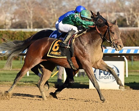 Miles D wins the 2021 Discovery Stakes at Aqueduct