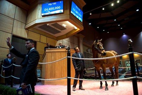 Hip 182 Guarana consigned by Hill &#39;N&#39; Dale Sales Agency Agent.</p></p>
<p><p>Horses, people and scenes at Fasig-Tipton November Sales in Lexington, KY on November 9, 2021. 